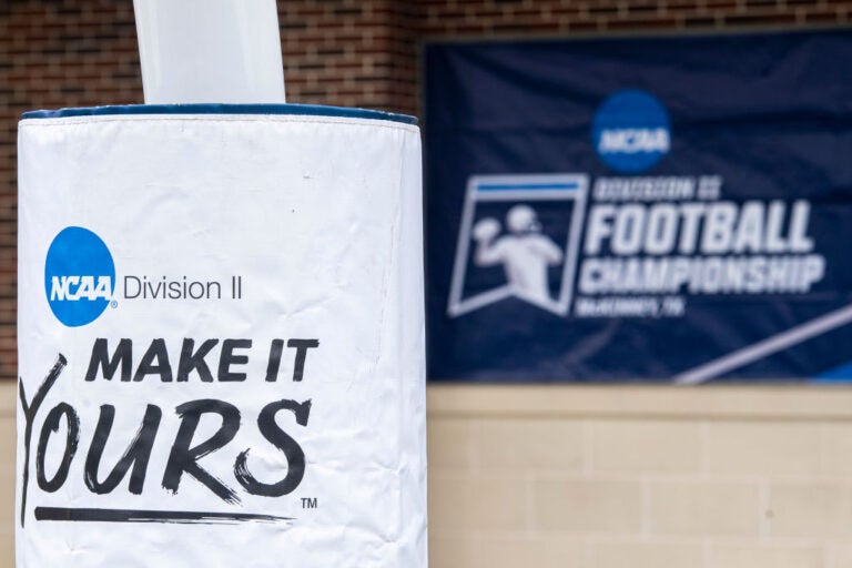 Division II football logo